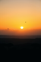 Gentle evening with flying bird. Peaceful twilight over expansive horizon featuring lone bird figure
