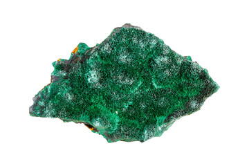 Vibrant green malachite crystal specimen with rich banding patterns isolated on white background...