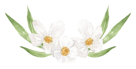 Watercolor white flower isolated. Hand drawn botanical illustration for spring, summer print, greeting cards, wedding invitation © Lidiia Chupryna