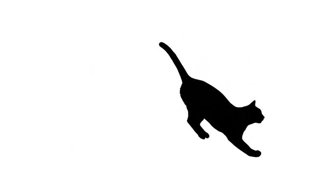 Black cat silhouette in dynamic poses on a white background.