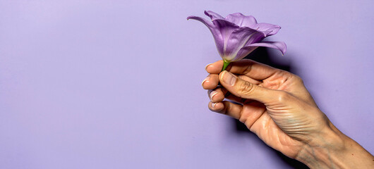 A hand gently holding a delicate purple flower against a soft lavender background