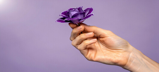 A hand gently holding a delicate purple flower against a soft purple background