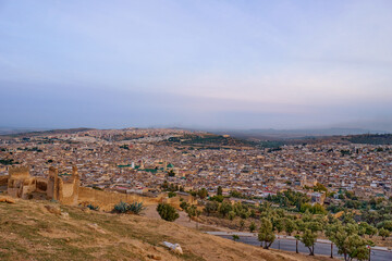 Obraz premium Aerial view of a sprawling cityscape with a mix of greenery and urban buildings, set against a backdrop of hills and a cloudy sky.