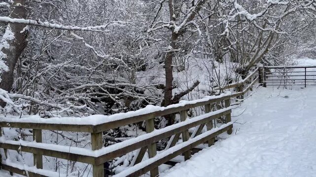 A walk to a snow-covered waterfall in Grantown-on-Spey, Cairngorms National Park. Dava Way. Winter snow-covered forest and a bridge over a waterfall.