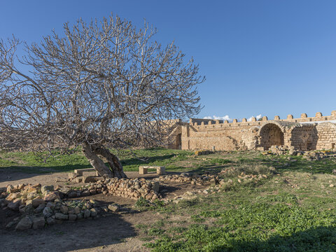 Coastal Sentinel: The Ancient Strategic Fortress of Kelibia