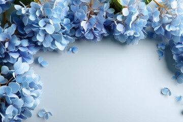 top view of fresh light blue hydrangea flowers arranged densely along top and bottom of white background, forming a soft floral border with clean empty central area, no stems or sh