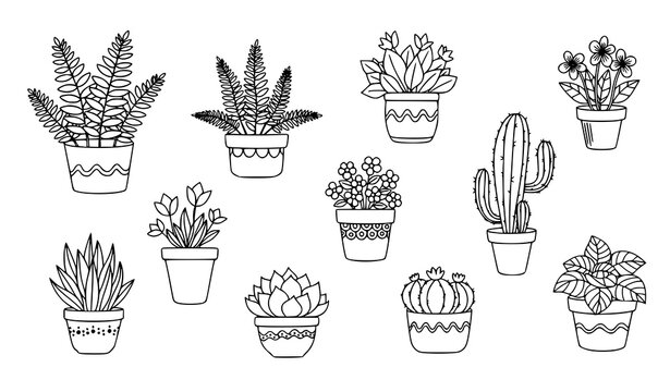 funny pots for plants talk dirt to me' Pun Pot  Mad Plant Ladies
