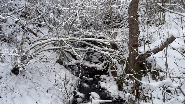A walk to a snow-covered waterfall in Grantown-on-Spey, Cairngorms National Park. Dava Way. Winter snow-covered forest and a bridge over a waterfall.