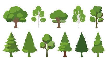 Tree collection vector illustration with deciduous and coniferous forest foliage in flat summer style © Rasel