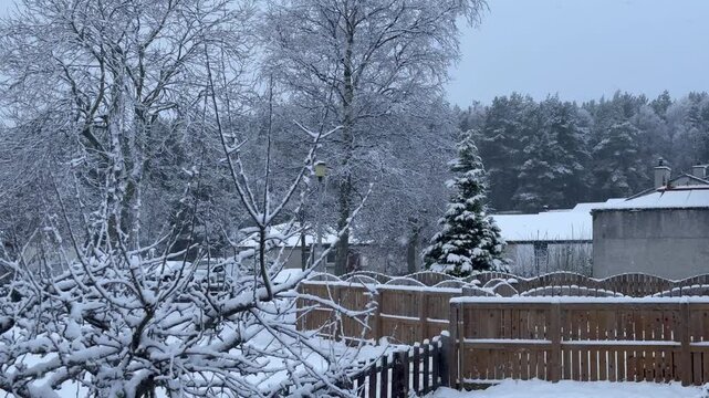 The garden is covered in snow. Winter snowfall in the yard. Spruce, trees, bushes, and houses are covered in snow.