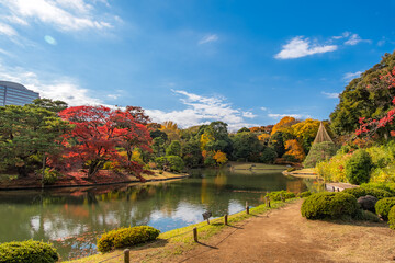 東京都文京区 秋晴れの六義園
