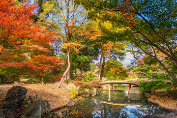 東京都文京区 色鮮やかな紅葉に包まれる秋の六義園、千鳥橋