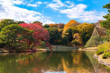 東京都文京区 秋晴れの六義園