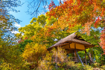 東京都文京区 秋の六義園、つつじ茶屋
