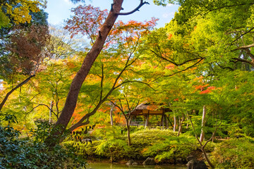 東京都文京区 秋の六義園、つつじ茶屋