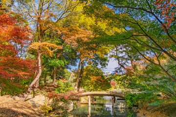 東京都文京区 色鮮やかな紅葉に包まれる秋の六義園、千鳥橋