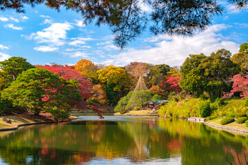 東京都文京区 秋晴れの六義園