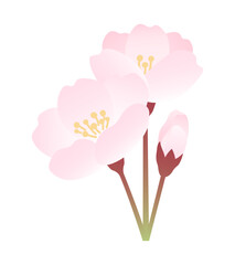 桜の小枝のイラスト素材