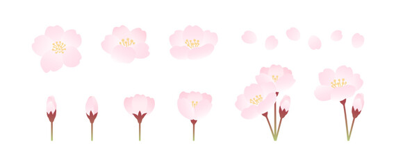 桜の花のバリエーションイラスト素材セット