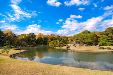 東京都文京区 秋晴れの六義園