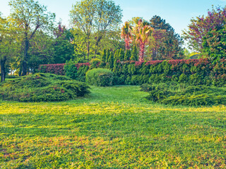 beautiful spring garden with flowers and lawn grass