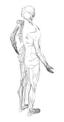A male anatomical sketch focuses on the senses, featuring detailed contour lines of the head and nervous system.
