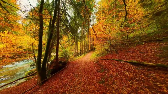 Fast FPV drone flight through autumn forest and turquoise river gorge