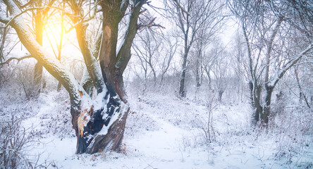 A winter river landscape with snow-covered banks.	