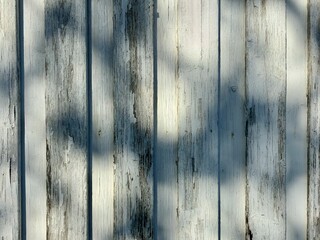 old wood texture