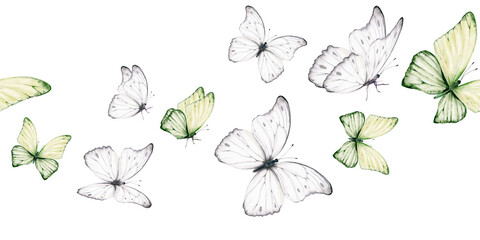 White and green butterflies in seamless border with delicate shimmering pattern,inspired by the Morpho godartii Bolivia.Symbolizing departed souls,purity,innocence,for memorial designs,spiritual theme © AnKa