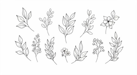 Fototapeta premium Minimalist Hand Drawn Floral Branch and Leaf Collection - Sketch Botanical Elements