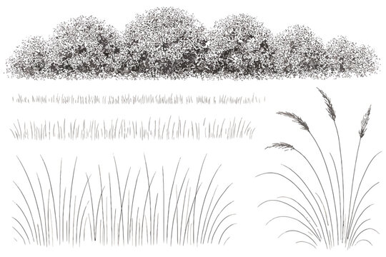 set of grass and trees,
Forest Line Grass Blocks &ndash; Clean CAD Collection