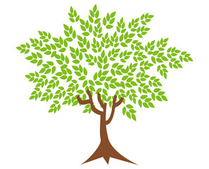 Obraz premium flat style tree illustration. cartoon tree. forest nature theme 