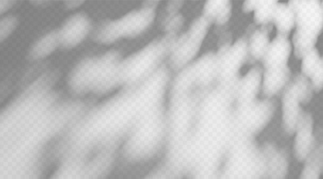 Shadow overlay dappled light on a transparent background.