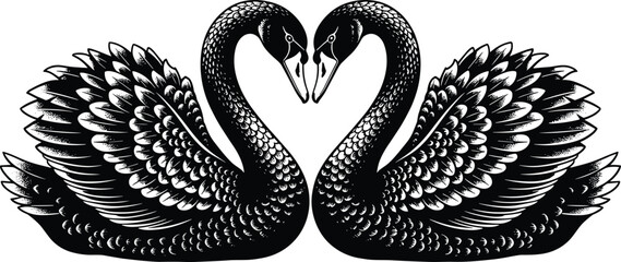 Black and white illustration of two graceful swans facing each other forming a heart shape for wedding, romance, love and elegant nature concepts © MostArjuma