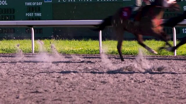 Thoroughbred horses running in the dirt