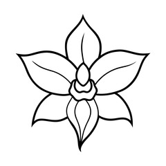 Hand Drawn Orchid Floral Line Art Illustration