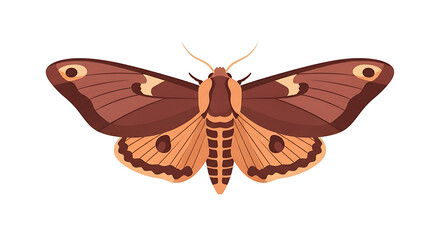 Fototapeta premium Brown and orange patterned moth with detailed wings spread wide isolated on transparent background