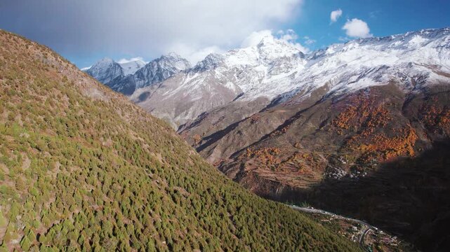 4K Aerial view of tall snow capped mountains and Juniper trees on mountain in Keylong at Lahaul, Himachal Pradesh, India. Beautiful nature landscape. Summer in Himalayas. Travel and holidays backgroun