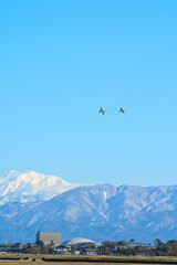 秋晴れの越後平野と飯豊山脈（新潟県）