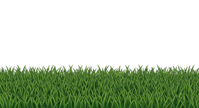 Vibrant green grass illustration, perfect for spring and summer nature scenes
