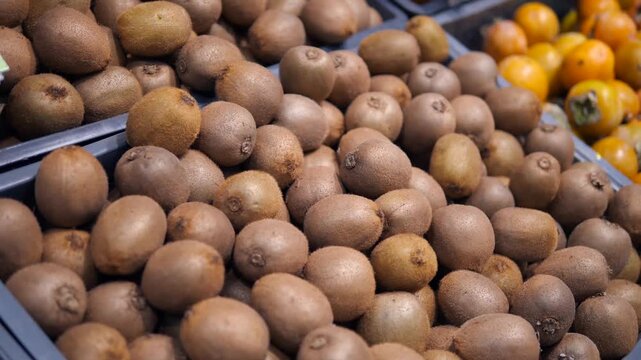 The organized beauty of bulk fruit in logistics. The video focuses on the patterns and quantity of kiwifruits in practical containers, creating a visually pleasing image of order and plenty. 