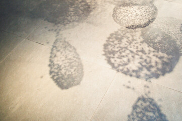 조형물의 그림자