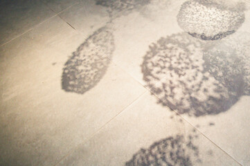 조형물의 그림자