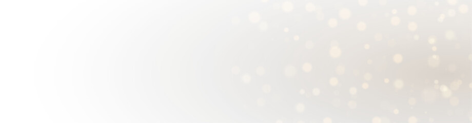 Festive Magic Glitter Light Overlay