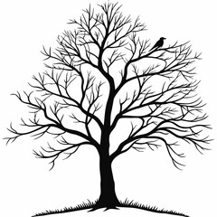 Obraz premium Bare Tree Silhouette with Raven Perched - Winter Season