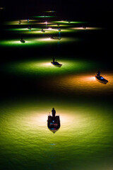 吉野川のシラスウナギ漁