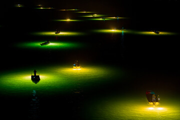 吉野川のシラスウナギ漁