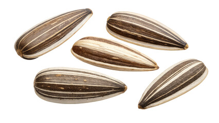 set of sunflower seed ,png