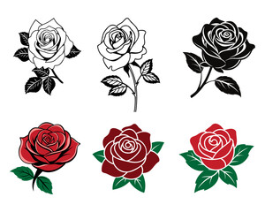 Elegant black and white and colored roses in intricate line art designs